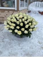 101 роза в корзине